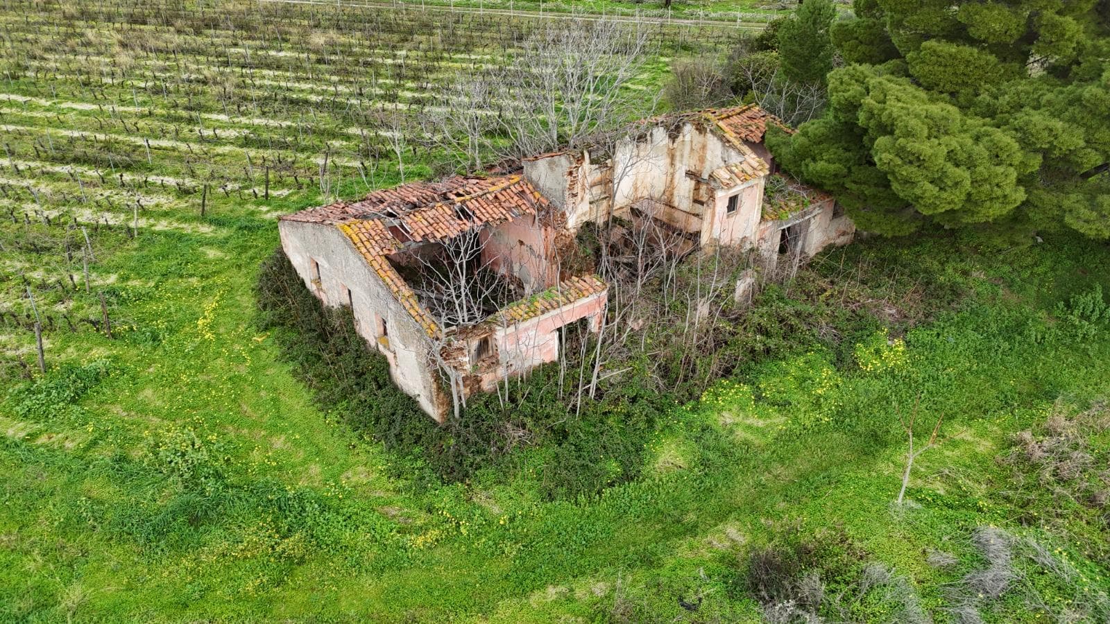 Terreno con rudere